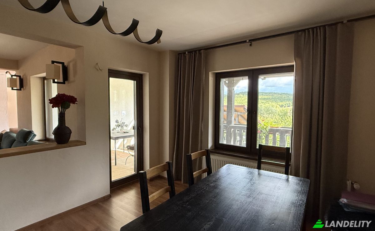 Mansion for Sale Aleea Capatanii 1, 555300, Cisnadie, Sadu, Sibiu, Romania. Photo 12