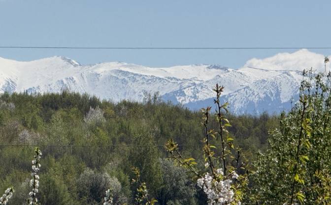 Mansion for Sale Aleea Capatanii 1, 555300. Photo#19