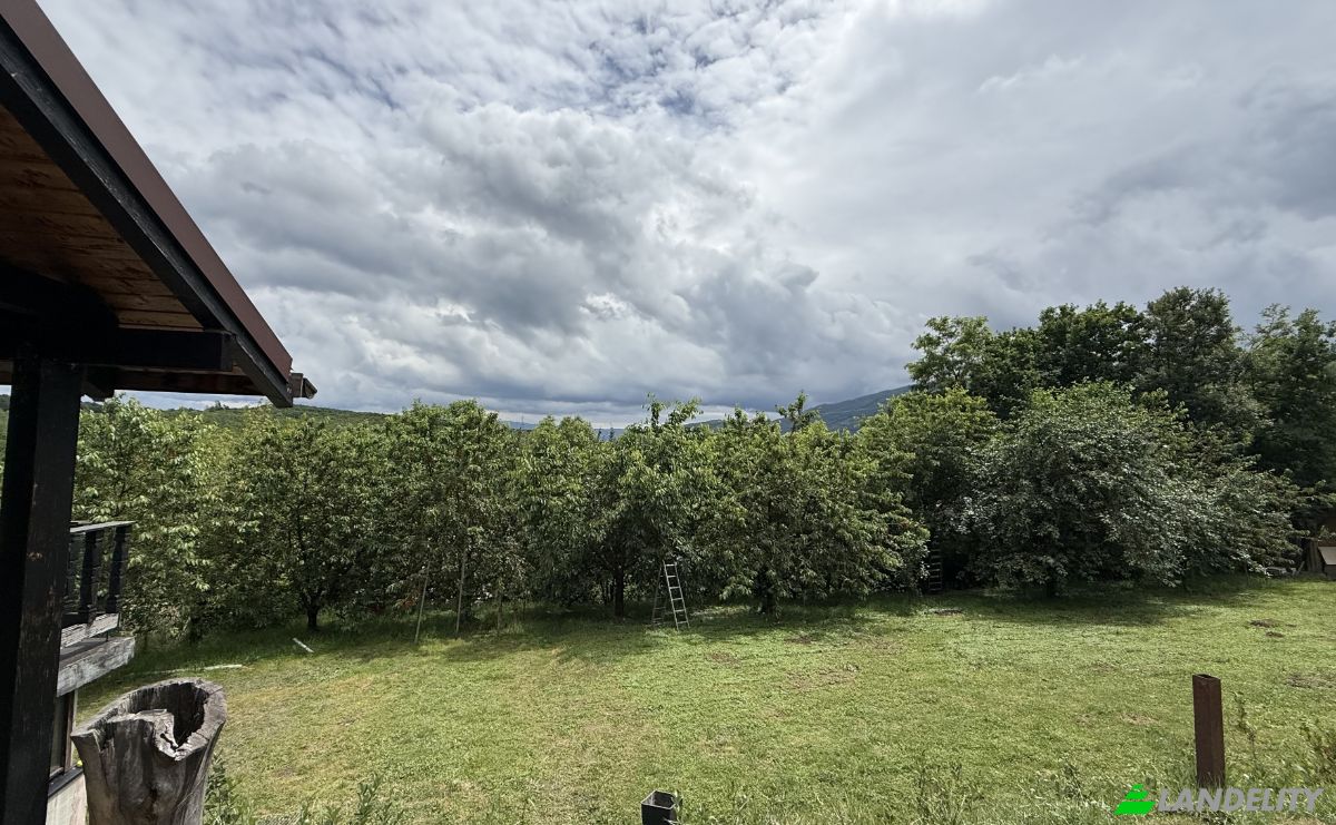 Mansion for Sale Aleea Capatanii 1, 555300, Cisnadie, Sadu, Sibiu, Romania. Photo 5