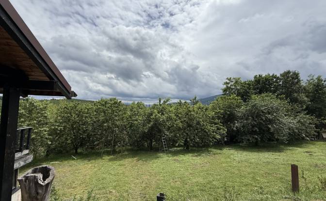 Mansion for Sale Aleea Capatanii 1, 555300. Photo#5