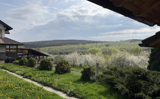 Mansion for Sale Aleea Capatanii 1, 555300. Photo#6