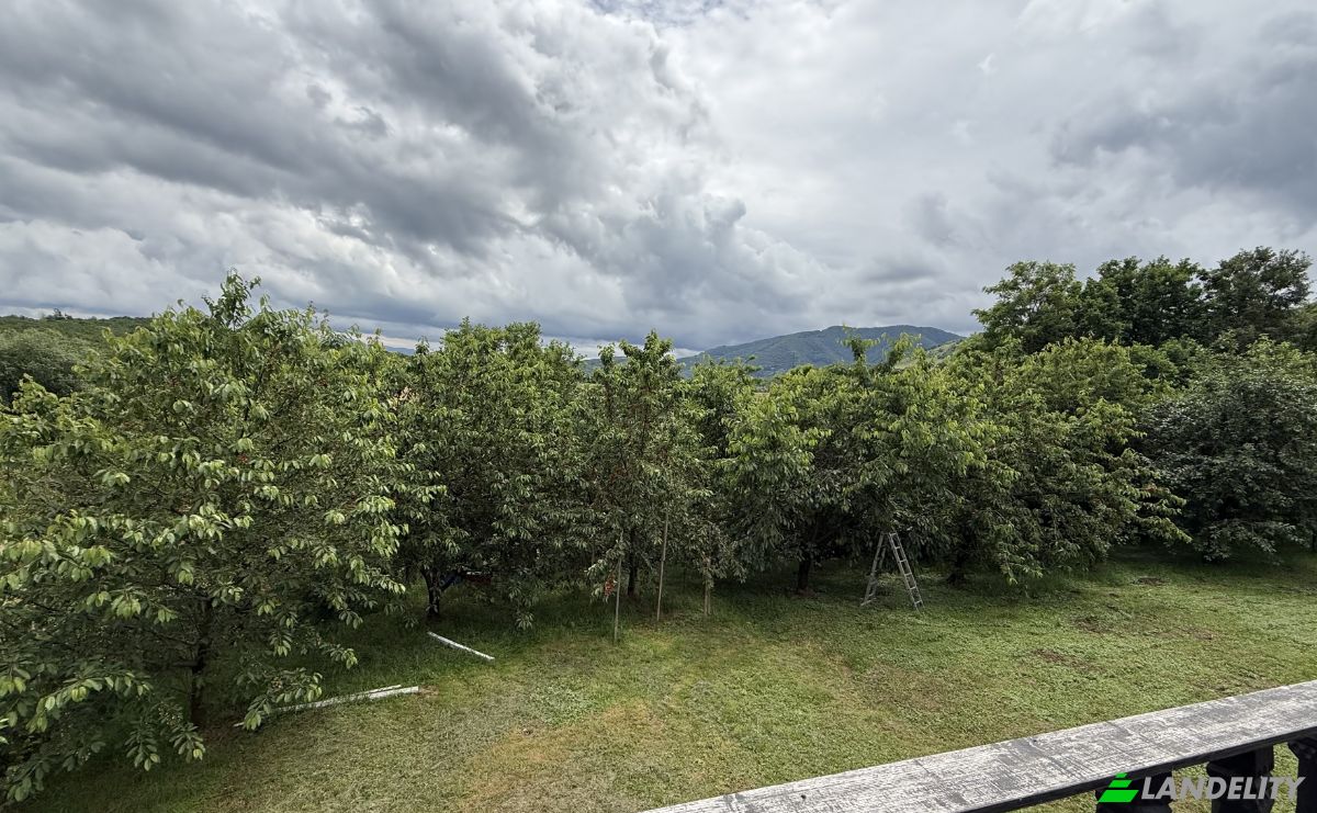 Mansion for Sale Aleea Capatanii 1, 555300, Cisnadie, Sadu, Sibiu, Romania. Photo 8