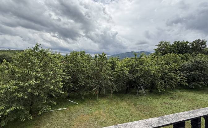 Mansion for Sale Aleea Capatanii 1, 555300. Photo#8