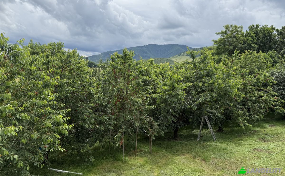 Mansion for Sale Aleea Capatanii 1, 555300, Cisnadie, Sadu, Sibiu, Romania. Photo 9