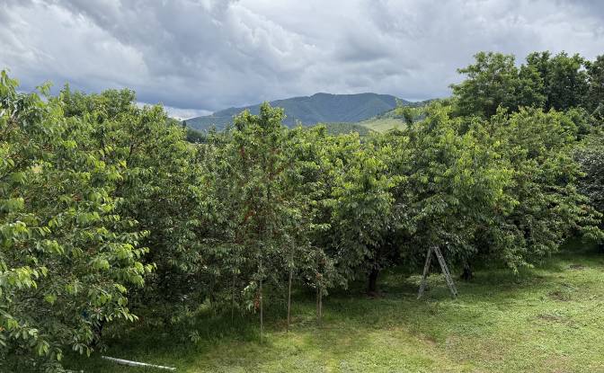 Mansion for Sale Aleea Capatanii 1, 555300. Photo#9