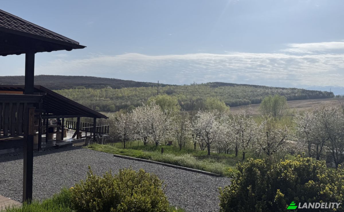 Mansion for Sale Aleea Capatanii 1, 555300, Cisnadie, Sadu, Sibiu, Romania. Photo 10