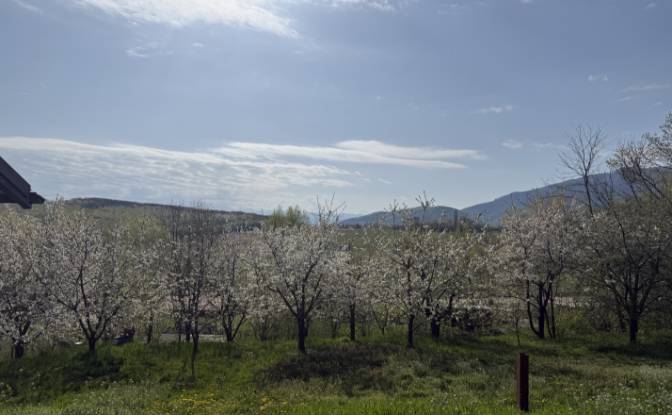 Mansion for Sale Aleea Capatanii 1, 555300. Photo#11