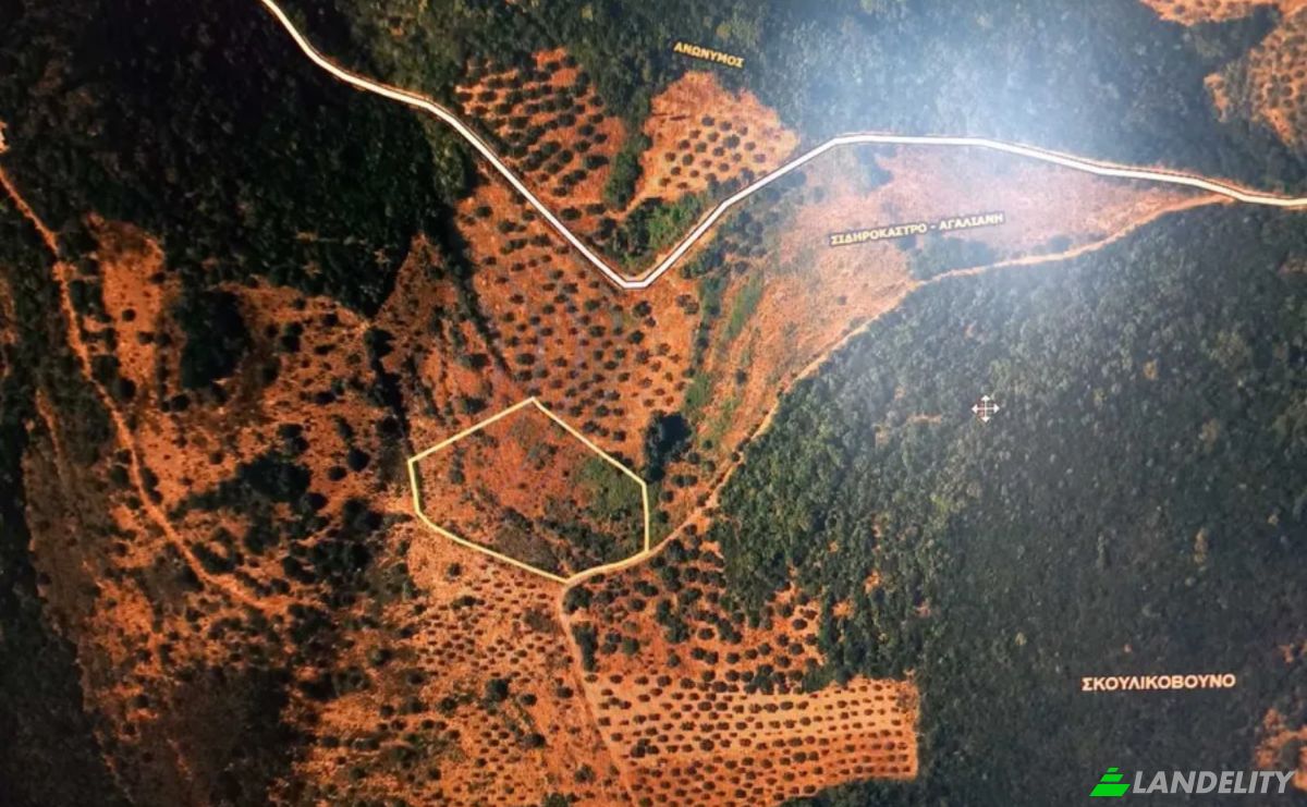 Land Lot for Sale Trifillia 240 03, Avlonas, Peloponnese Region, Decentralized Administration of Peloponnese, Western Greece and the Ionian, Greece. Photo 1