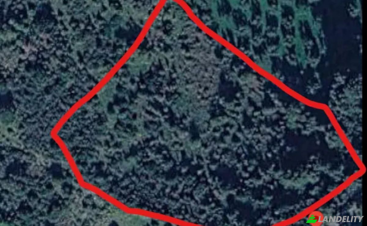 Land Lot for Sale Trifillia 240 03, Avlonas, Peloponnese Region, Decentralized Administration of Peloponnese, Western Greece and the Ionian, Greece. Photo 3