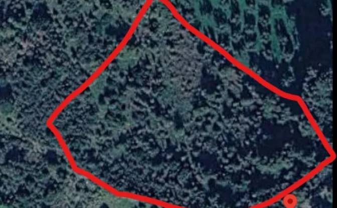Land Lot for Sale Trifillia 240 03, Avlonas. Photo#3 Land Lot for Sale Trifillia 240 03, Avlonas. Photo#3