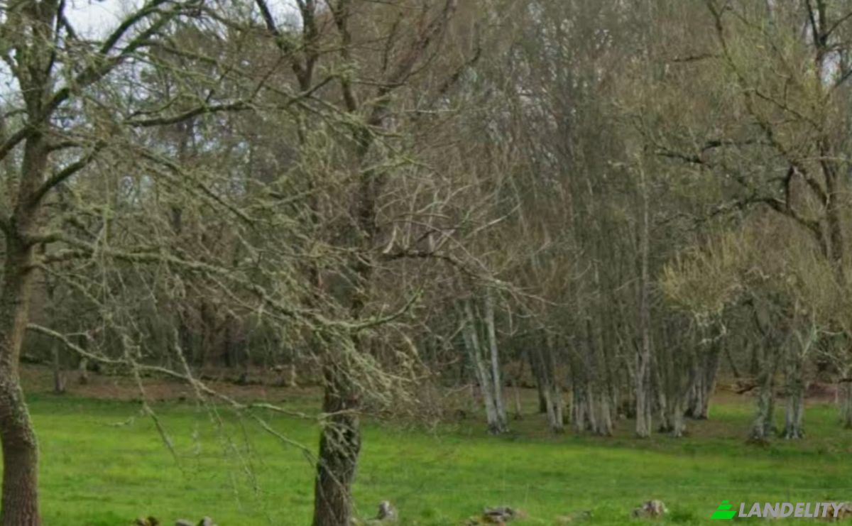 Land Lot for Sale Aldea Regoalde, Regoalde, Ourense, Province of Ourense, Galicia, Spain. Photo 1