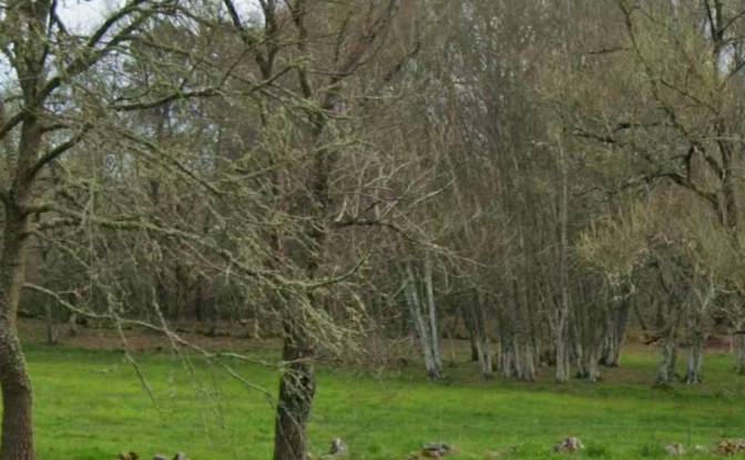 Land Lot for Sale Aldea Regoalde, Regoalde. Photo#1