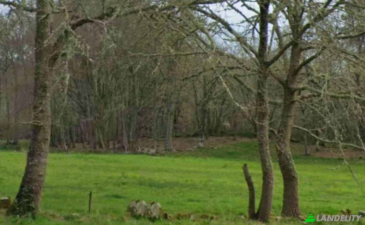 Land Lot for Sale Aldea Regoalde, Regoalde, Ourense, Province of Ourense, Galicia, Spain. Photo 2