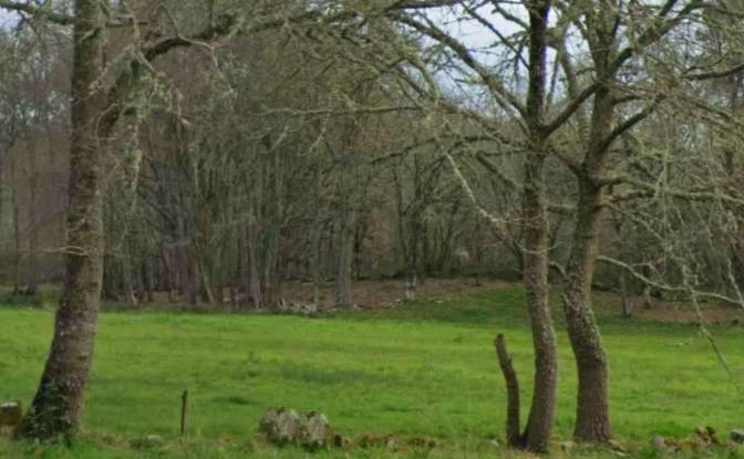 Land Lot for Sale Aldea Regoalde, Regoalde. Photo#2