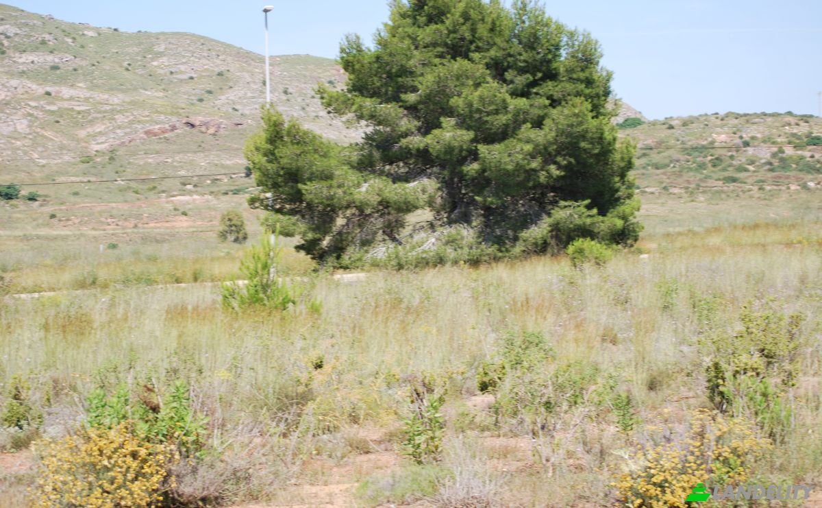 Land Lot for Sale Caserio del Puente, Cartagena, Murcia, Region of Murcia, Spain. Photo 1