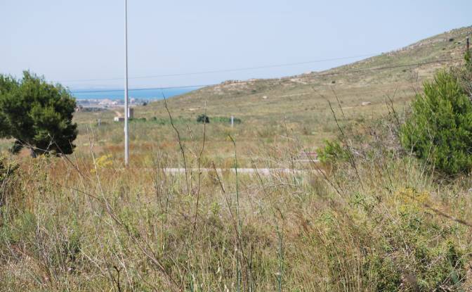 Land Lot for Sale Caserio del Puente, Cartagena. Photo#3 Land Lot for Sale Caserio del Puente, Cartagena. Photo#3