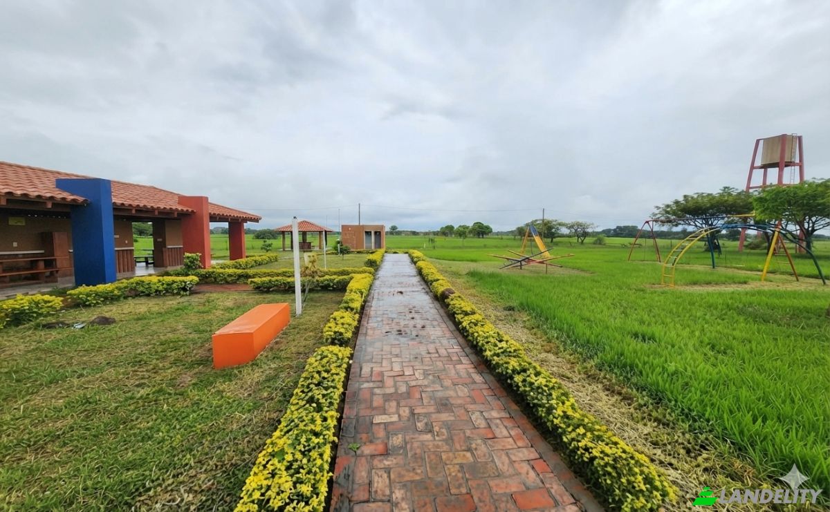 Land Lot for Sale Warnes, Sara, Santa Cruz Department, Bolivia. Photo 9