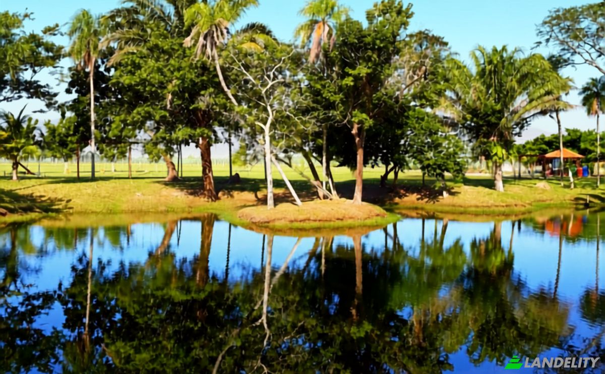 Land Lot for Sale Warnes, Sara, Santa Cruz Department, Bolivia. Photo 3