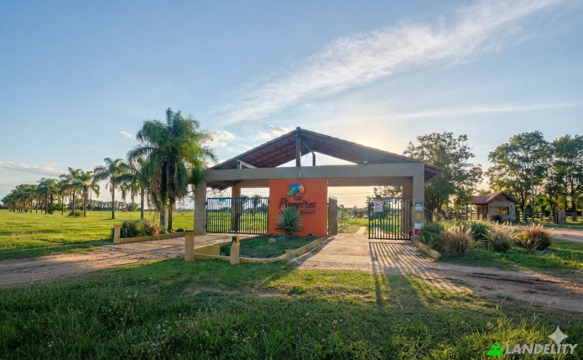 Land Lot for Sale Warnes, Sara, Santa Cruz Department, Bolivia. Photo 4