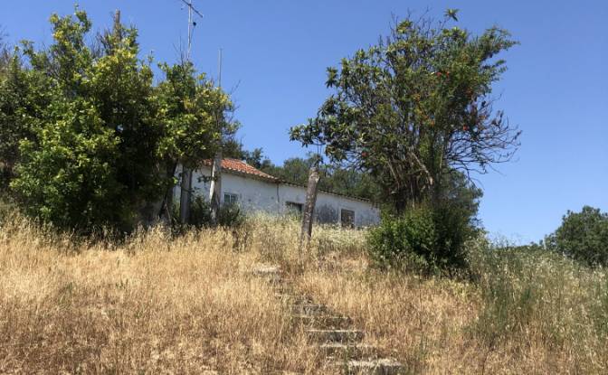 Farm/Ranch for Sale Sao Vicente do Paul, Santarem. Photo#1 Farm/Ranch for Sale Sao Vicente do Paul, Santarem. Photo#1