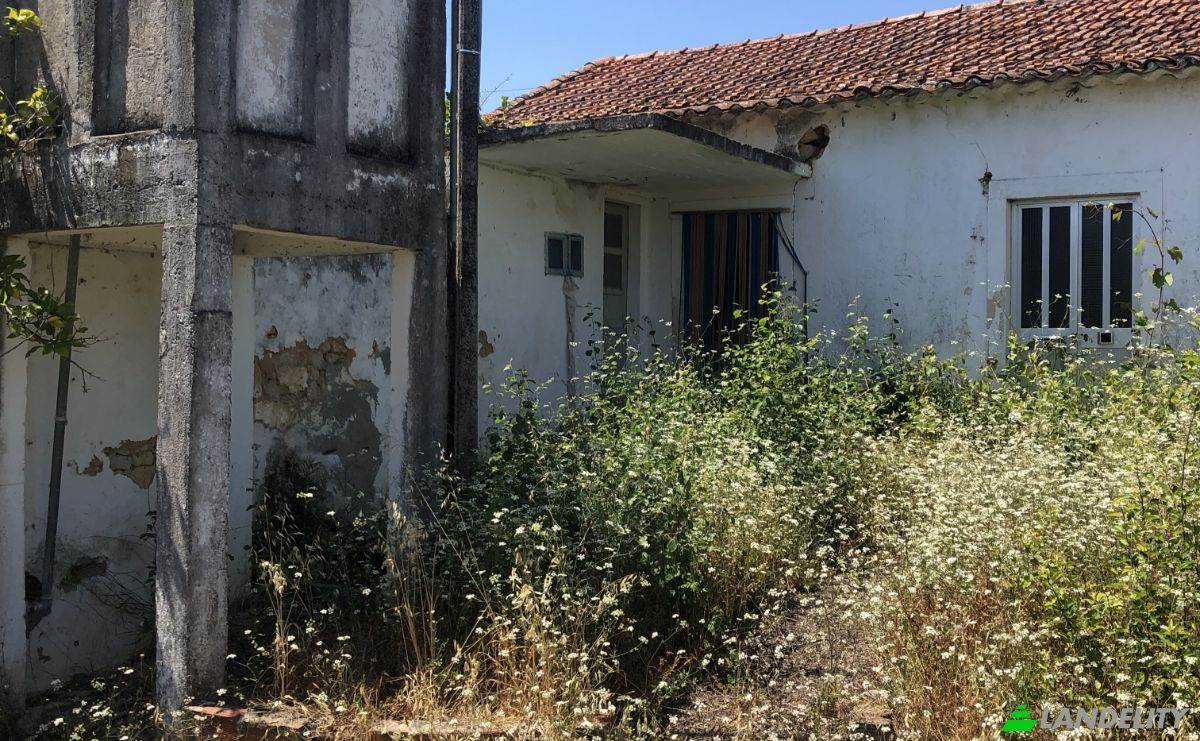 Farm/Ranch for Sale Sao Vicente do Paul, Santarem, Santarem District, Portugal. Photo 3
