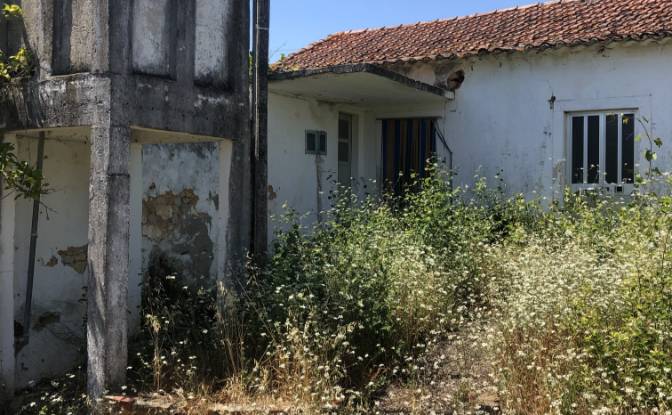 Farm/Ranch for Sale Sao Vicente do Paul, Santarem. Photo#3 Farm/Ranch for Sale Sao Vicente do Paul, Santarem. Photo#3