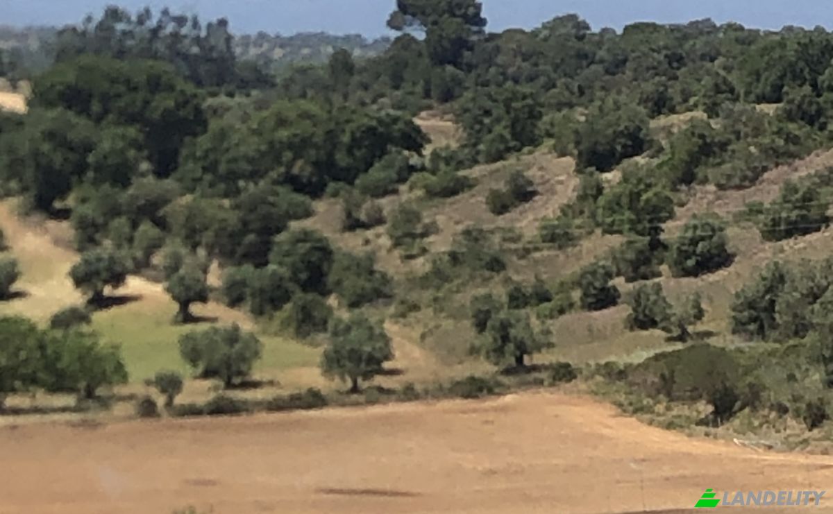 Farm/Ranch for Sale Sao Vicente do Paul, Santarem, Santarem District, Portugal. Photo 4