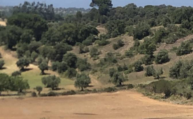 Farm/Ranch for Sale Sao Vicente do Paul, Santarem. Photo#4 Farm/Ranch for Sale Sao Vicente do Paul, Santarem. Photo#4