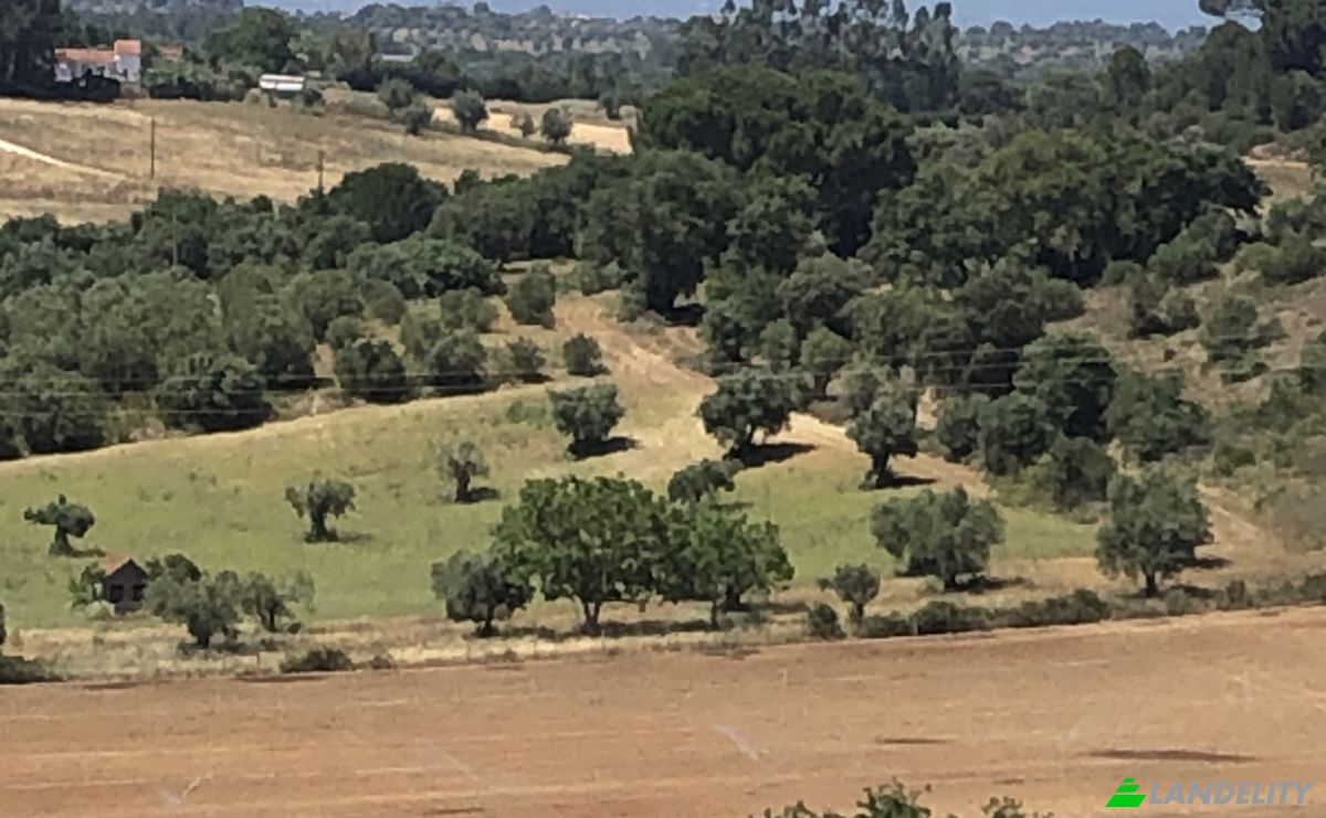 Farm/Ranch for Sale Sao Vicente do Paul, Santarem, Santarem District, Portugal. Photo 5