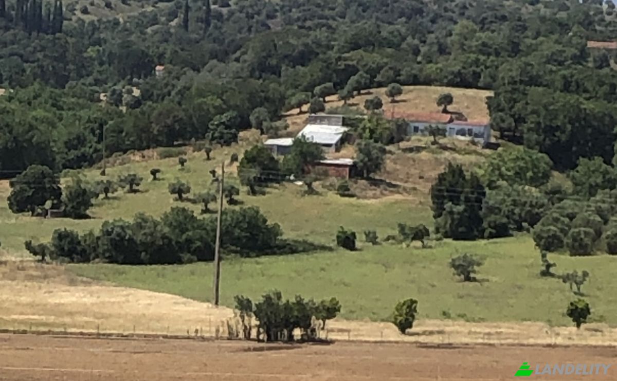 Farm/Ranch for Sale Sao Vicente do Paul, Santarem, Santarem District, Portugal. Photo 6