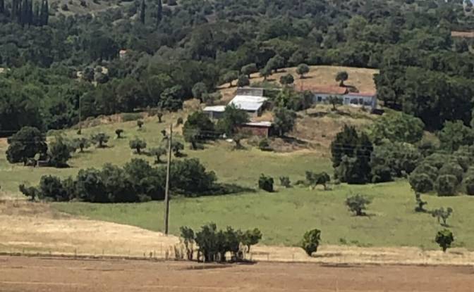 Farm/Ranch for Sale Sao Vicente do Paul, Santarem. Photo#6 Farm/Ranch for Sale Sao Vicente do Paul, Santarem. Photo#6