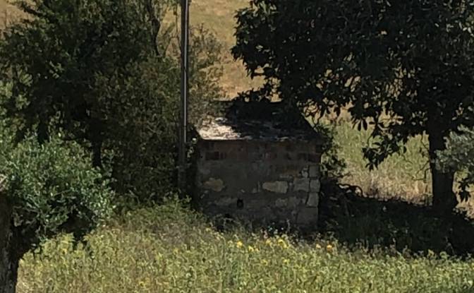 Farm/Ranch for Sale Sao Vicente do Paul, Santarem. Photo#7 Farm/Ranch for Sale Sao Vicente do Paul, Santarem. Photo#7