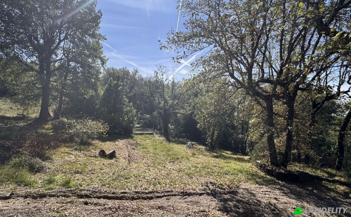 Villa for Sale Localita Piani, 69D, 50066 Reggello FI, Reggello, Metropolitan City of Florence, Tuscany, Italy. Photo 10