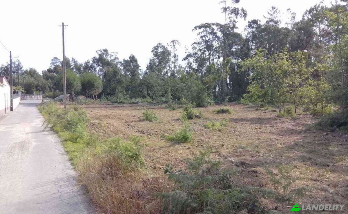 Investing/Development for Sale Lugar de Naia EN 2, 3460-012 Tondela, Tondela, Viseu District, Portugal. Photo 6
