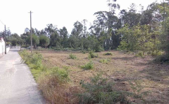 Investing/Development for Sale Lugar de Naia EN 2. Photo#6