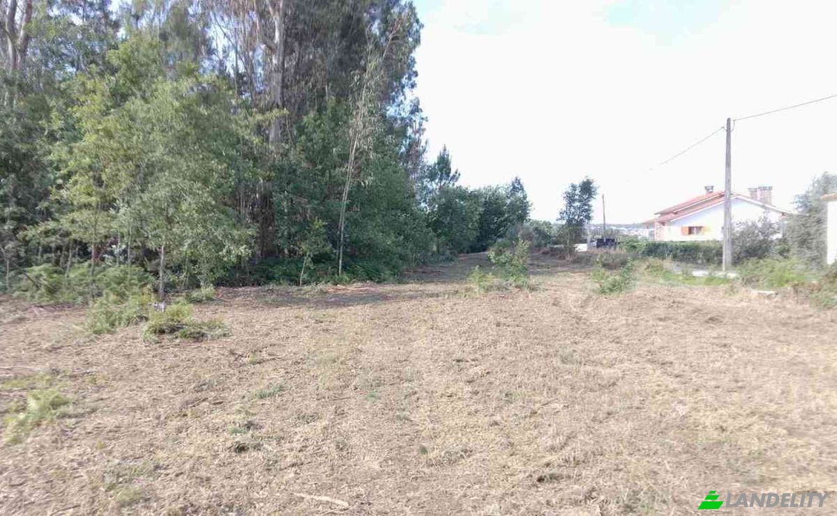 Investing/Development for Sale Lugar de Naia EN 2, 3460-012 Tondela, Tondela, Viseu District, Portugal. Photo 7