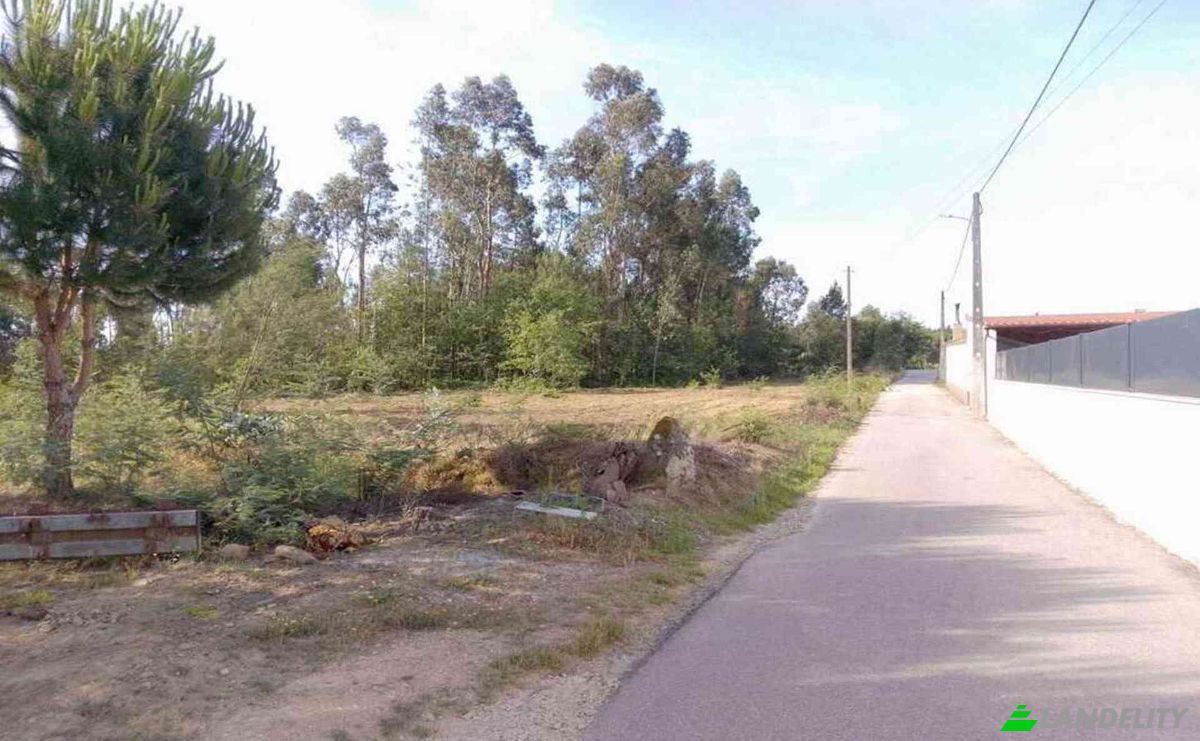 Investing/Development for Sale Lugar de Naia EN 2, 3460-012 Tondela, Tondela, Viseu District, Portugal. Photo 8