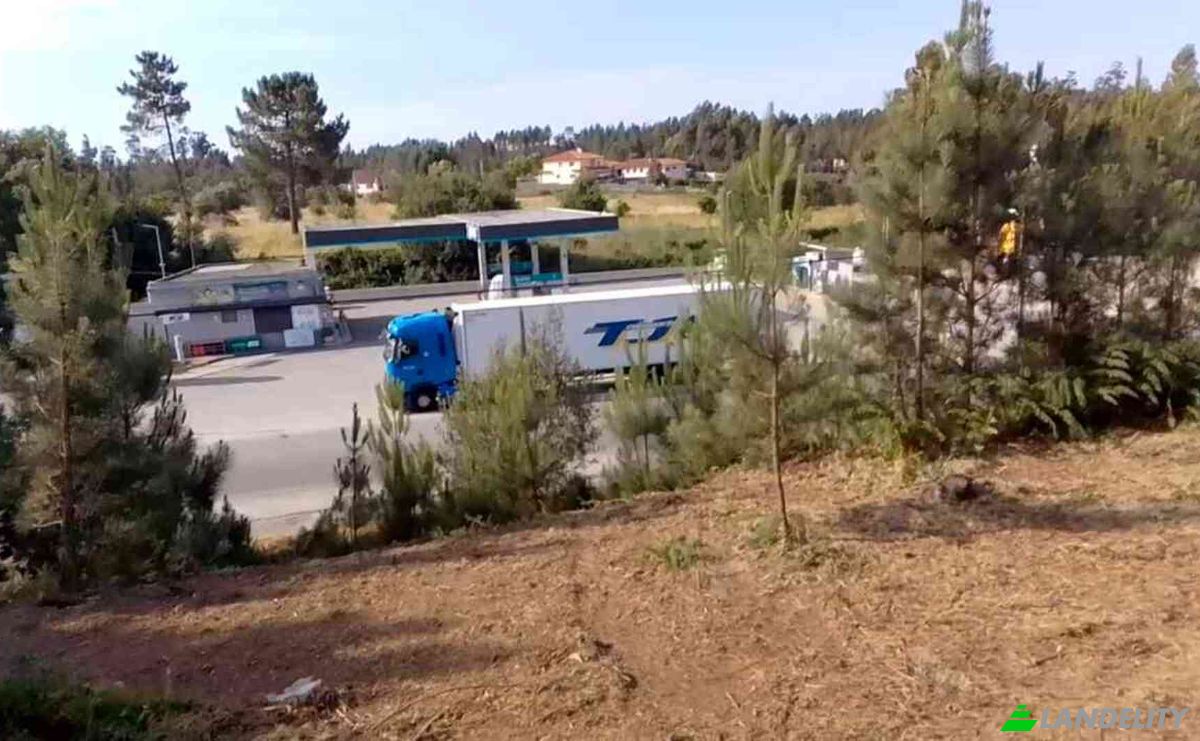 Investing/Development for Sale Lugar de Naia EN 2, 3460-012 Tondela, Tondela, Viseu District, Portugal. Photo 2