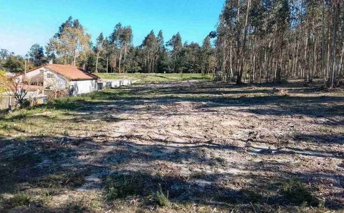 Land Lot for Sale R do Estoril 73, Tondela. Photo#8
