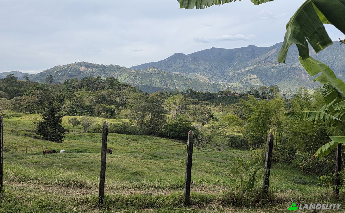 Timeshare for Sale Puente Iglesias, Fredonia, Antioquia, Colombia. Photo 3