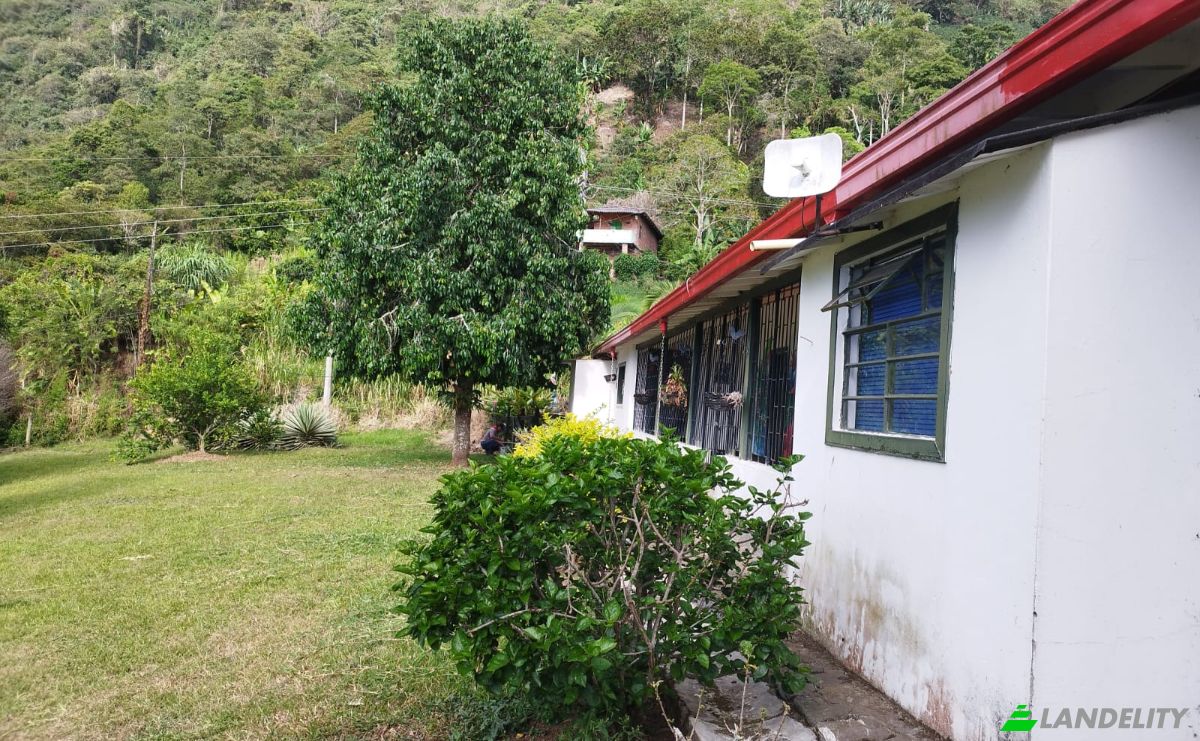 Timeshare for Sale Puente Iglesias, Fredonia, Antioquia, Colombia. Photo 8