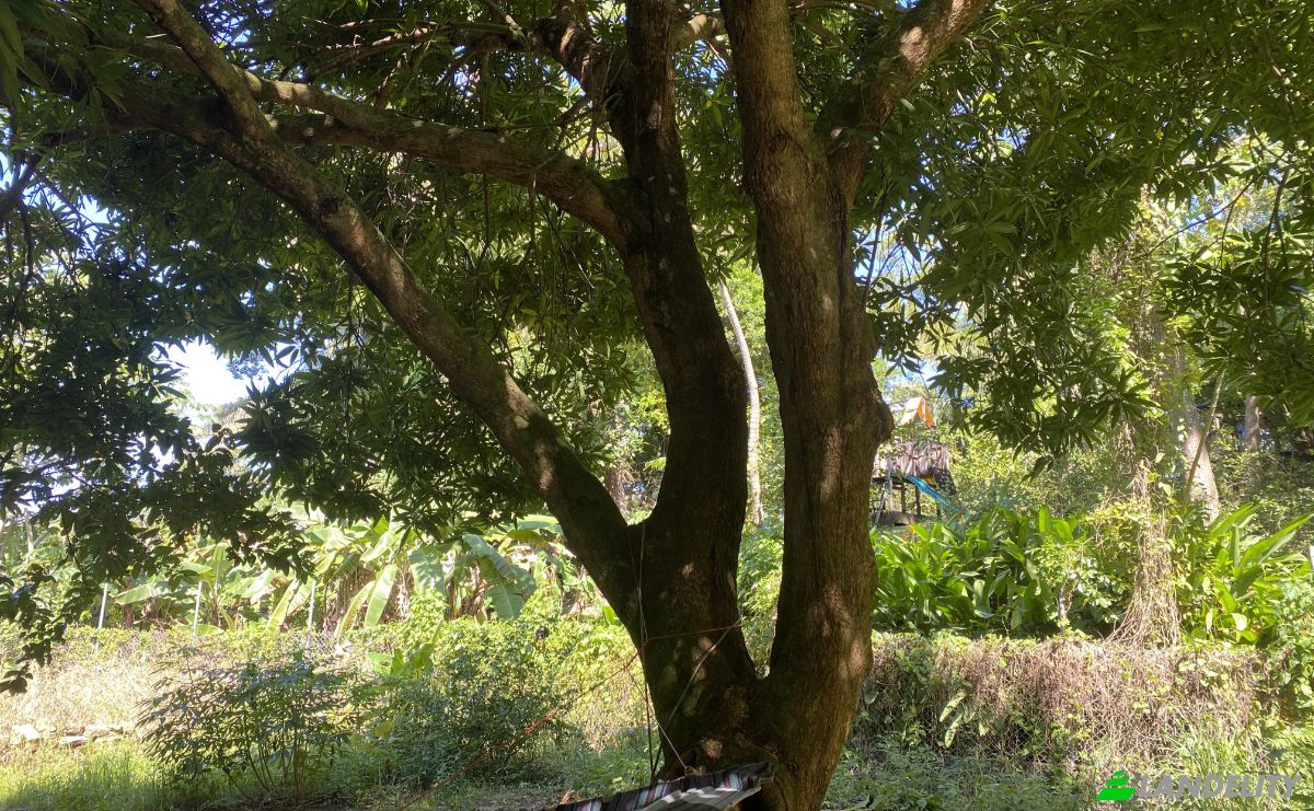 Land Lot for Sale Carretera Principal, Sandy Bay, Islas de la Bahia, West End, Roatan, Bay Islands Department, Honduras. Photo 3