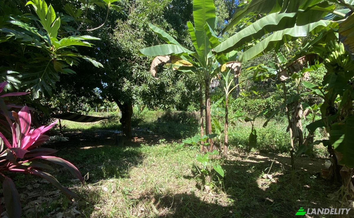 Land Lot for Sale Carretera Principal, Sandy Bay, Islas de la Bahia, West End, Roatan, Bay Islands Department, Honduras. Photo 4