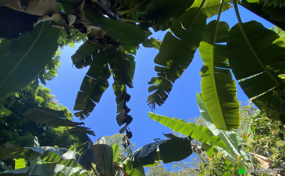 Land Lot for Sale Carretera Principal, Sandy Bay, Islas de la Bahia, West End, Roatan, Bay Islands Department, Honduras. Photo 6
