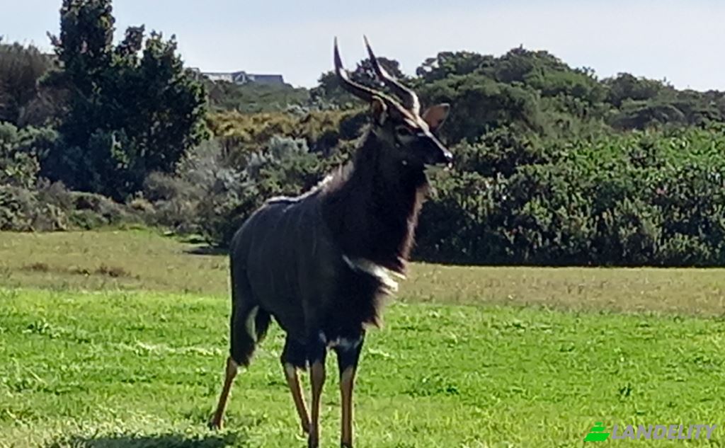 Land Lot for Sale Ebersohn St, Paradise Beach, Jeffreys Bay, Sarah Baartman District Municipality, Eastern Cape, South Africa. Photo 5