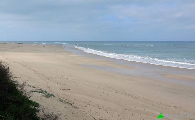 Land Lot for Sale Ebersohn St, Paradise Beach. Photo#3 Land Lot for Sale Ebersohn St, Paradise Beach. Photo#3