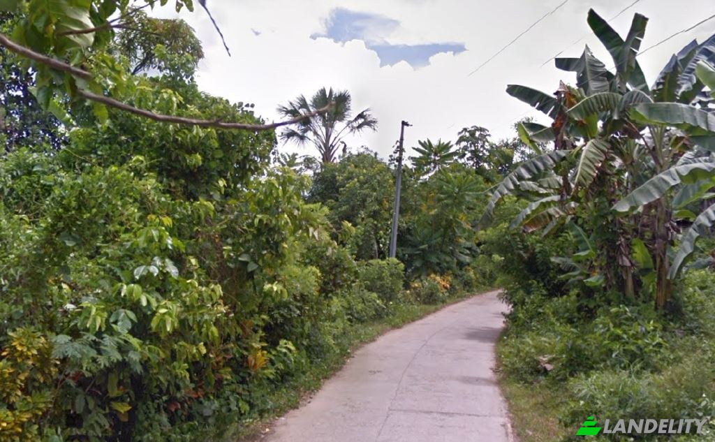 Land Lot for Sale Villafuerte Rd, Gumaca, Quezon, Calabarzon, Philippines. Photo 1