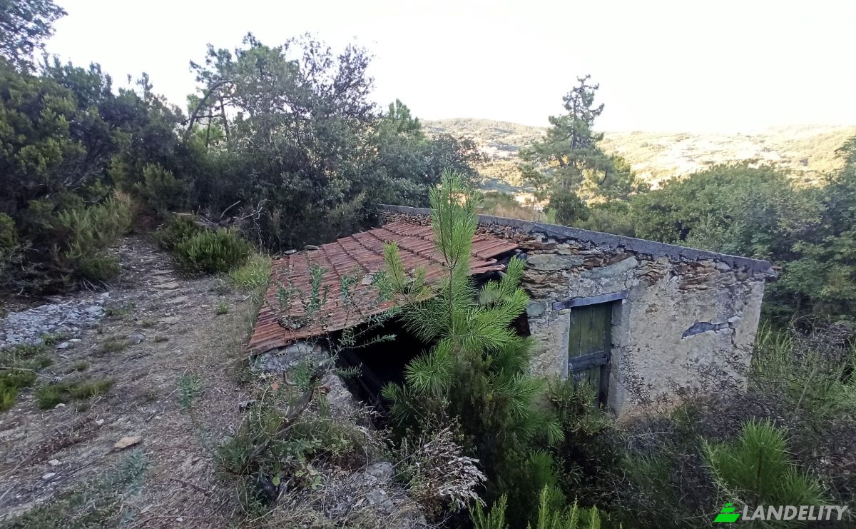 Warehouse for Sale Via Ferro, 43-41, 17020 Tovo San Giacomo SV, Tovo San Giacomo, Province of Savona, Liguria, Italy. Photo 2