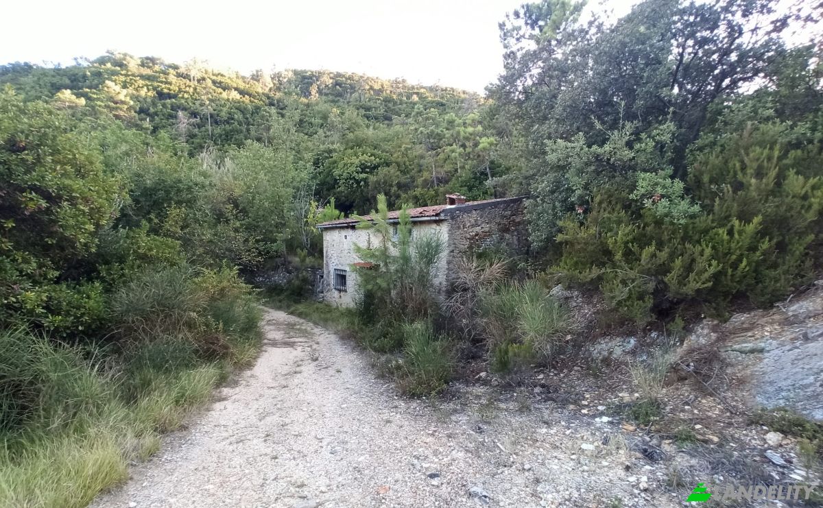 Warehouse for Sale Via Ferro, 43-41, 17020 Tovo San Giacomo SV, Tovo San Giacomo, Province of Savona, Liguria, Italy. Photo 3
