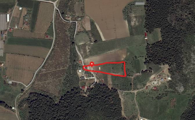 Investing/Development for Sale Cile, Ova Sk. Photo#18